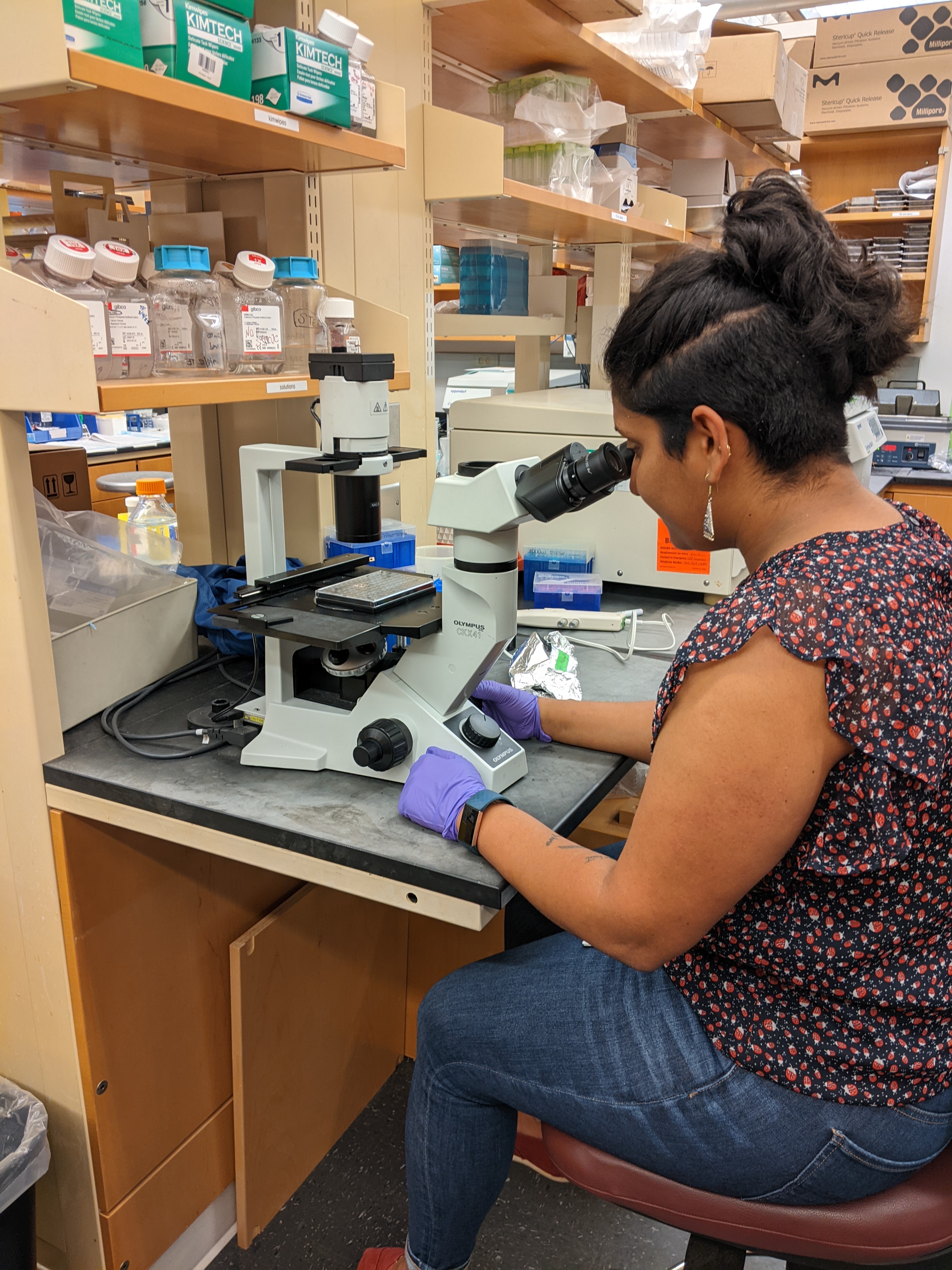 PhD candidate Mukti Chowkwale sits behind a microscope in a biomedical engineering lab
