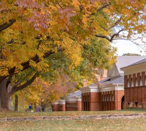 Early Fall on Grounds