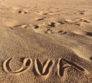 UVA in sand in Jordan